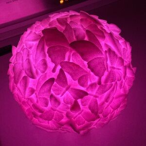 Barbara King Color Changing Butterfly Sphere